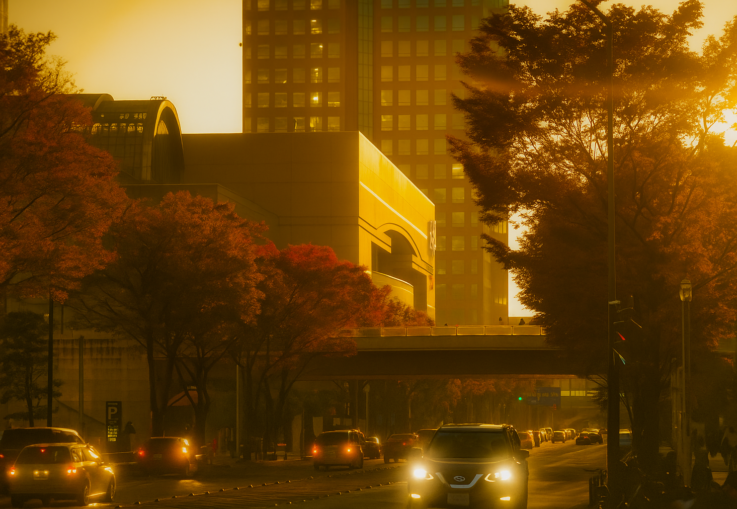 秋の長雨と早い夕暮れに備えて